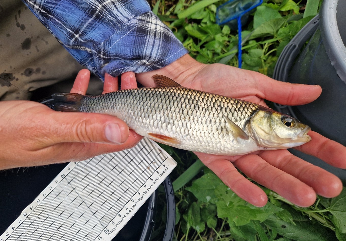watercircle-projekt-elfiske-1