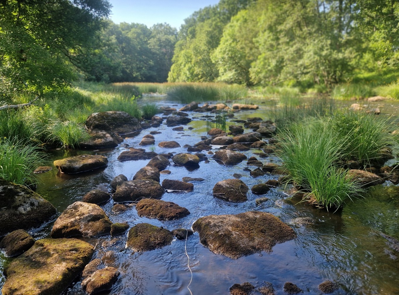 watercircle-projekt-elfiske-2